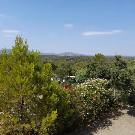 Dans Domaine Prive * Fréjus